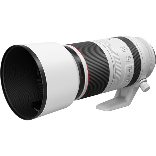 Canon RF 100-500mm f/4.5-7.1 L Zoom Lens
