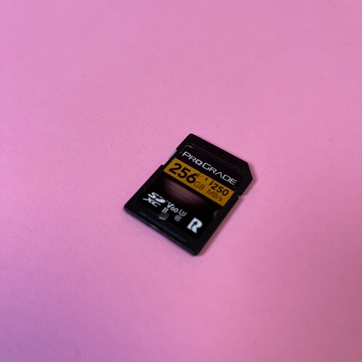 SD Card V60 256GB